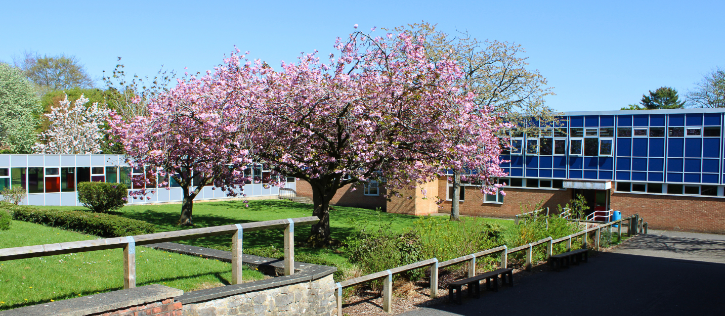 Admissions Banner 2026 (1146 x 500 px)-1